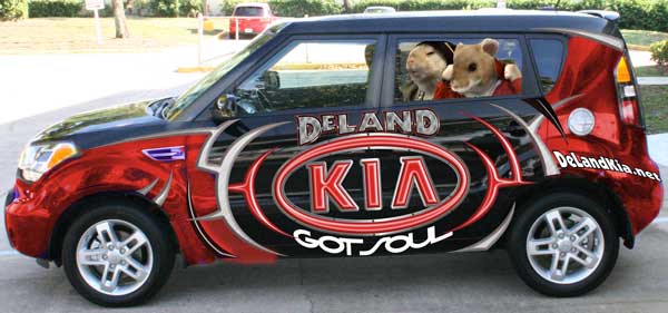 deland kia soul graphic